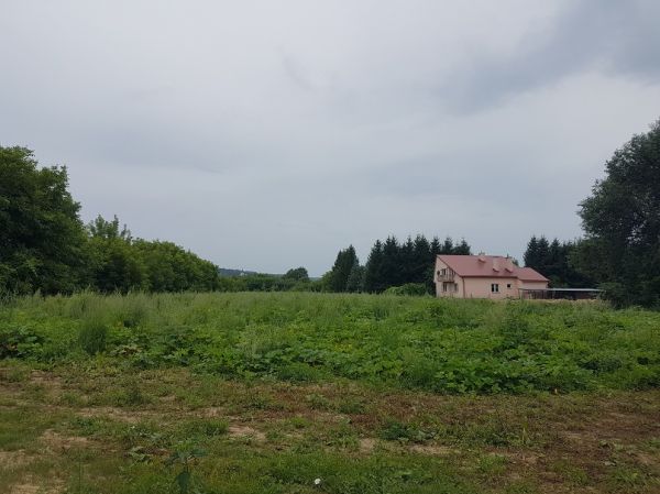 Image 1 Title